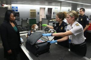 Highest paying airport jobs