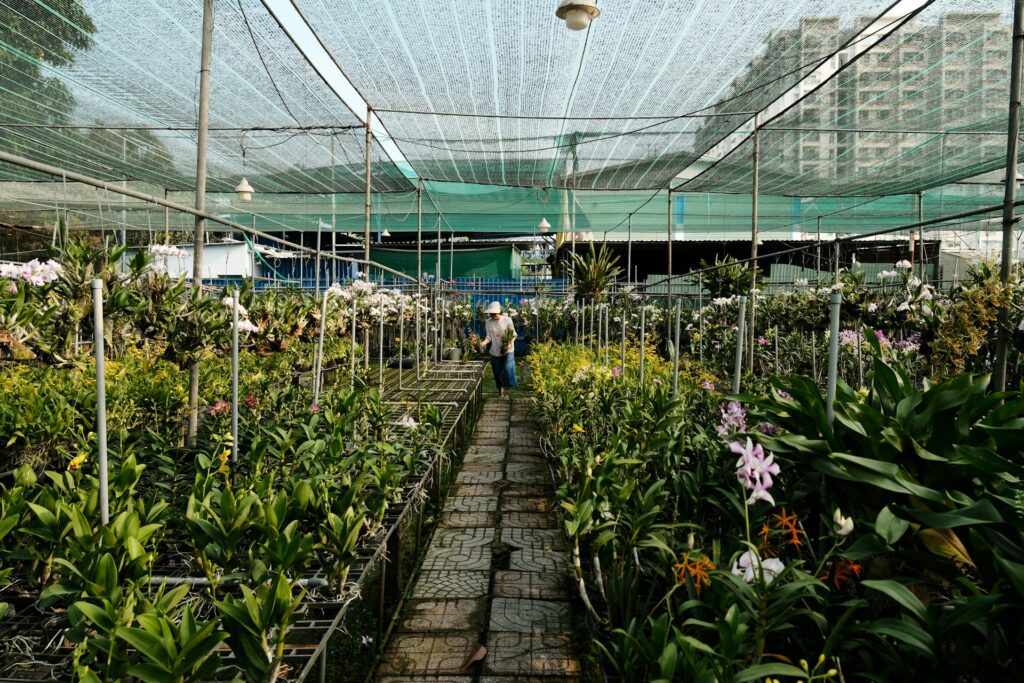 Plant nursery jobs hiring