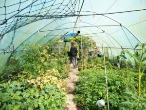 Plant nursery jobs