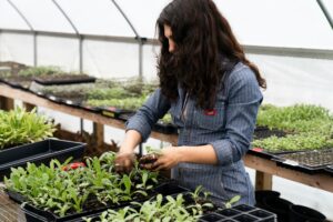plant nursery jobs hiring now